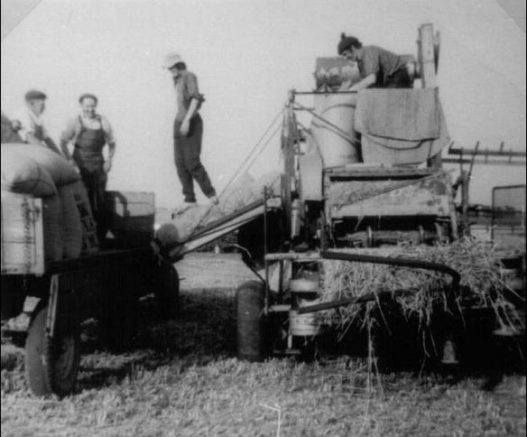 early combined harvester