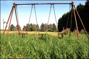 swings