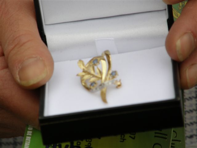 Wendy's broach